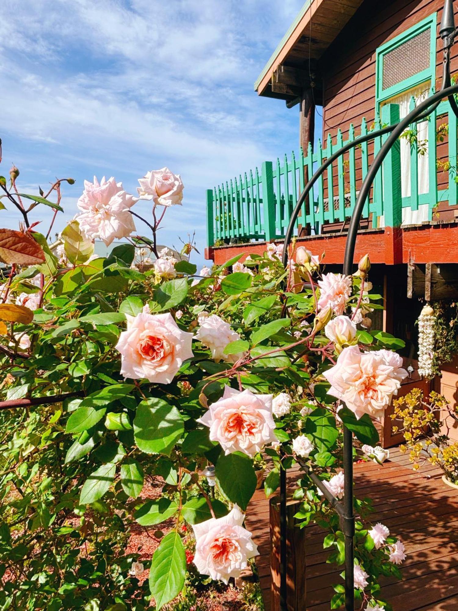 The Goat And Goose Bed & Breakfast Lakes Entrance Eksteriør billede